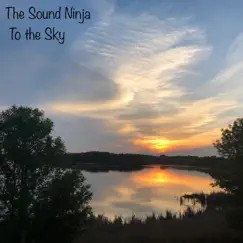 To the Sky (feat. Bill Draper) - Single by The Sound Ninja album reviews, ratings, credits