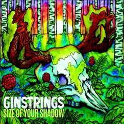 Size of Your Shadow by Ginstrings album reviews, ratings, credits