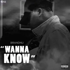 Wanna Know - Single by Brandnu album reviews, ratings, credits
