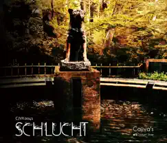 SCHLUCHT by Cajiva's Gadget Shop album reviews, ratings, credits