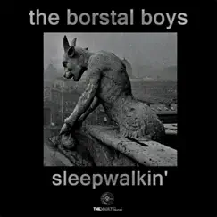 Sleepwalkin' - Single by The Borstal Boys album reviews, ratings, credits