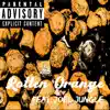 Rotten Orange (feat. Joel Jungle) - Single album lyrics, reviews, download