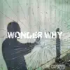 Wonder Why - Single album lyrics, reviews, download