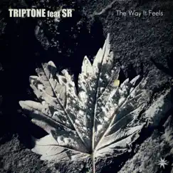 The Way It Feels (feat. SR) - Single by Triptone album reviews, ratings, credits