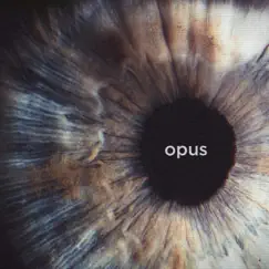 Opus (feat. Daniel Adair) - Single by Swollen Members, Alpha Omega & XL the Band album reviews, ratings, credits