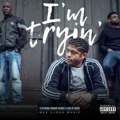 I'm Tryin (feat. Roman Harris & Son of Noise) Song Lyrics