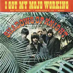 I Got My Mojo Working - Single by The Shadows of Knight album reviews, ratings, credits