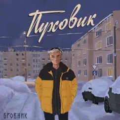 Пуховик - Single by Бровник album reviews, ratings, credits