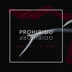 Prohibido (feat. El Zun) - Single by Kaly album reviews, ratings, credits