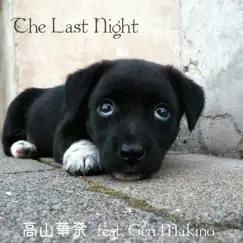 The Last Night (feat. gen makino) by 高山華奈 album reviews, ratings, credits
