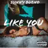 Like You - Single album lyrics, reviews, download
