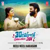 Neeli Neeli Aakasam (From "30 Rojullo Preminchadam Ela") - Single album lyrics, reviews, download