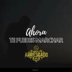 Ahora Te Puedes Marchar - Single by Grupo Arriesgado album reviews, ratings, credits