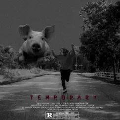 Temporary - Single by Billyracxx album reviews, ratings, credits