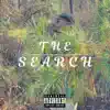 The Search (feat. Mikeylotheweirdo) - Single album lyrics, reviews, download