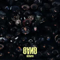 GANG (feat. BERWYN) [BERWYN Remix] Song Lyrics