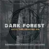 Dark Forest (feat. Jay Afro) - Single album lyrics, reviews, download
