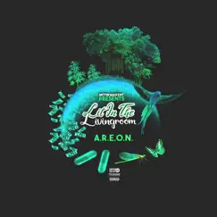 Lit in the Livingroom by Areon album reviews, ratings, credits