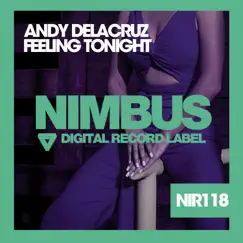 Feeling Tonight - Single by Andy DelaCruz album reviews, ratings, credits