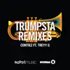 Trumpsta (feat. Treyy G) [Djuro Remix] - Single album lyrics, reviews, download