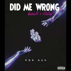Did me wrong (feat. S6ul) Song Lyrics