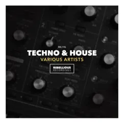 Techno & House by Various Artists album reviews, ratings, credits