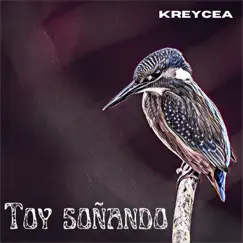 Toy soñando - Single by Kreycea album reviews, ratings, credits