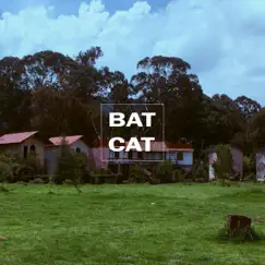 Sueño - Single by Bat Cat album reviews, ratings, credits