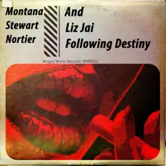 Following Destiny (Latin Soul Mix) - Single by Montana, Stewart & Nortier album reviews, ratings, credits