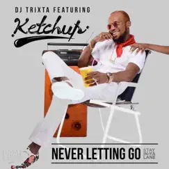 Never Letting Go (feat. Ketchup) - Single by DJ Trixta album reviews, ratings, credits