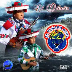 El Diluvio - Single by El Venado Azul album reviews, ratings, credits