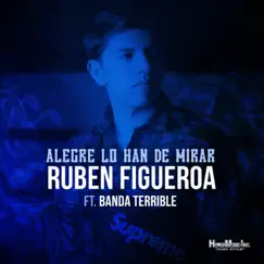 Alegre Lo Han de Mirar - Single by Ruben Figueroa album reviews, ratings, credits