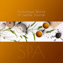 Enchanted World of Gentle Sounds – SPA: 30 Tracks for Your Wellbeing, Inner Stillness, Calm Delight by Spa Massage Solution album reviews, ratings, credits