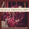 Música Tibetana 2019 - Elimina el Estrés, Calma la Mente y Sana Cuerpo y Alma album lyrics, reviews, download