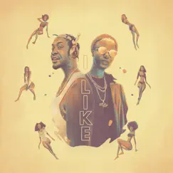 I Like (feat. WizKid) - Single by Kojo Funds album reviews, ratings, credits