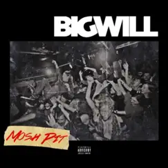 Mosh Pit - Single by Big Will album reviews, ratings, credits