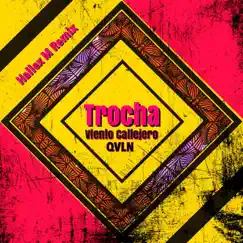 Trocha (Hallex M Remix) [feat. Qvln] Song Lyrics