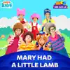 Mary Had a Little Lamb - Single album lyrics, reviews, download