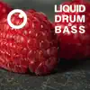 Liquid Drum & Bass Sessions 2020 Vol 22 album lyrics, reviews, download