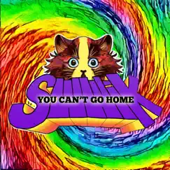 You Can't Go Home - Single by Swwik album reviews, ratings, credits