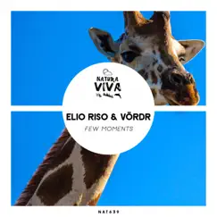 Few Moments - Single by Elio Riso & Vördr album reviews, ratings, credits