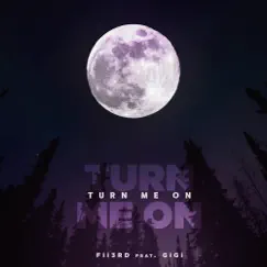 Turn Me On (feat. Gigi) - Single by Fii3rd album reviews, ratings, credits
