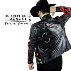 La Fuga Del Año (feat. Los Nuevos Rebeldes) Song Lyrics