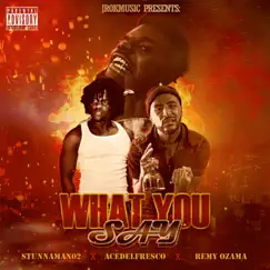 What You Say - Single by Stunnaman02, AceDelFresco & Remy Ozama album reviews, ratings, credits