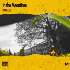 In the Meantime - EP by Smallz album reviews, ratings, credits