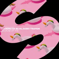 Because Of You - Single by Leandro Da Silva & Dario Trapani album reviews, ratings, credits