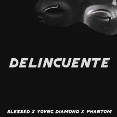 Delincuente Song Lyrics