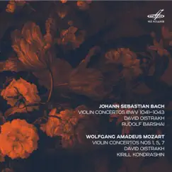 Violin Concerto No. 1 in A Minor, BWV 1041: I. Song Lyrics