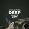 Deep Vibes, Vol. 7 (Deep House Mix Compilation Selected & Mixed by Fer Ferrari) [DJ Mix] album lyrics, reviews, download