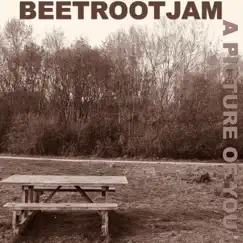 A Picture of You by BeetRootJam album reviews, ratings, credits